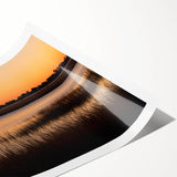 Extra large wall art featuring line art flowers in muted tones on a rolled print, ideal for large living room decor.