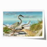 Extra large rolled print of Daytona scenery with vibrant floral elements.