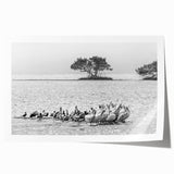 Everglades scenery on a large rolled print featuring lush greenery and water, ideal for dining room wall art.