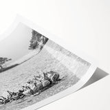 Extra large rolled print of line art flowers in muted green tones, ideal for large living room wall art.