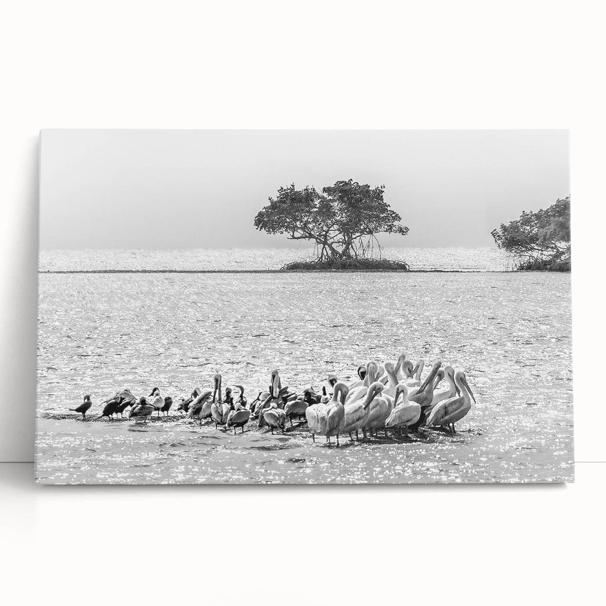 Black and white stretched canvas of Everglades scenery, ideal for kitchen wall art or bedroom ambiance.