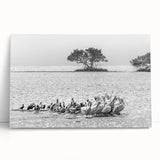 Black and white stretched canvas of Everglades scenery, ideal for kitchen wall art or bedroom ambiance.