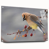 Acrylic print of a large abstract depiction of Iowa scenery in muted earth tones, ideal for dining room decor.