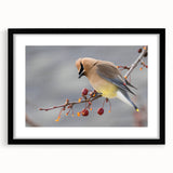 Abstract art print of vibrant, colorful Iowa scenery on a large, textured canvas, framed in black.