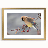 Extra large abstract art print of Iowa scenery in a gold frame with textured details, ideal for living room decor.