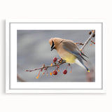 Abstract art print of Iowa scenery in muted green and blue tones, framed with a white mat, suitable for dining room decor.