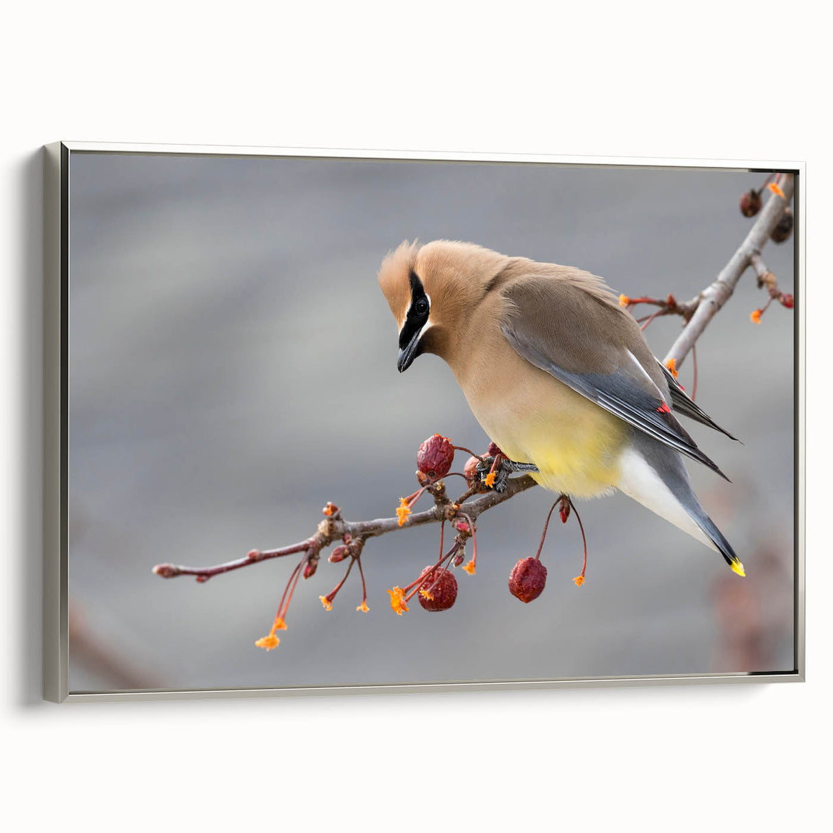 Framed canvas featuring a vintage-style landscape painting of Iowa, with colorful art elements on a black background.
