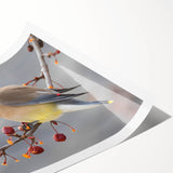 Extra large wall art featuring line art flowers in muted earth tones on a rolled canvas.