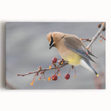 Black and white photo of Iowa scenery on large stretched canvas, suitable for kitchen art.