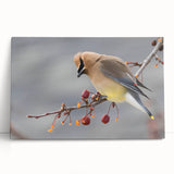 Black and white photo of Iowa scenery on a large stretched canvas, ideal for kitchen wall art or bedroom decor.