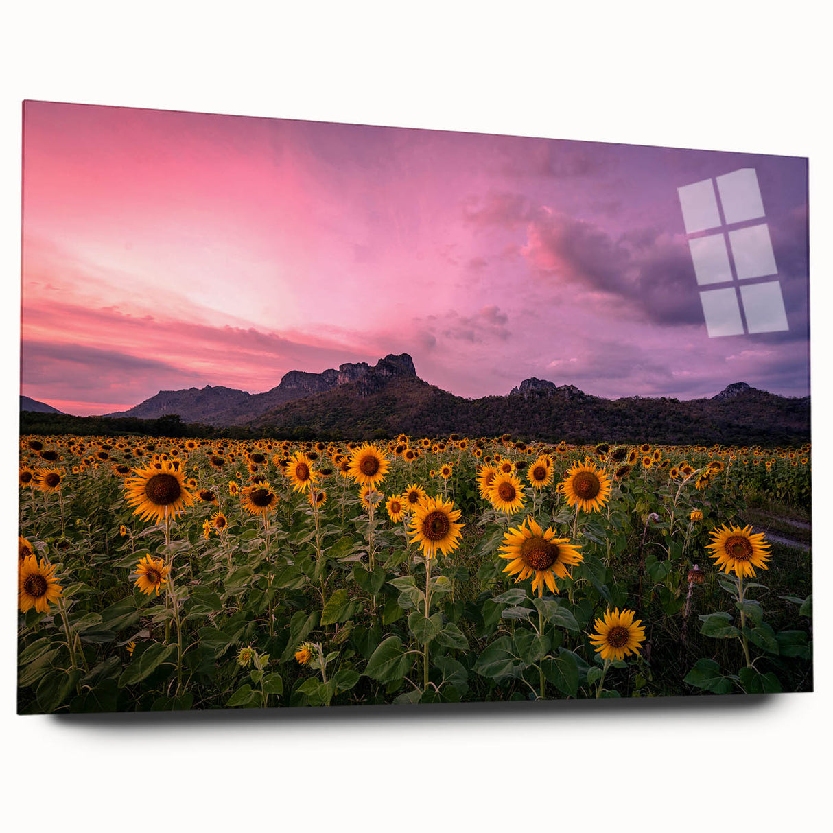 Large abstract wall art depicting a Kansas scenery on acrylic glass, in muted earth tones.
