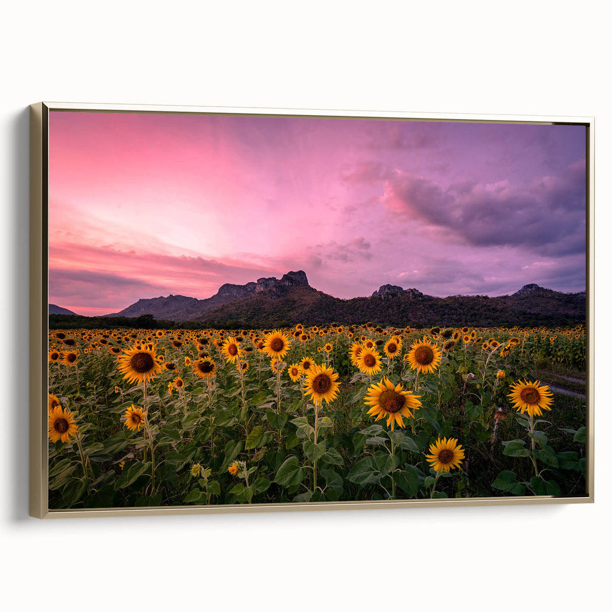 Framed canvas of a vintage Kansas landscape in black and gold tones, ideal for bedroom wall decor.