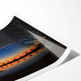 Extra large wall art featuring line art flowers in black and white, rolled print format.