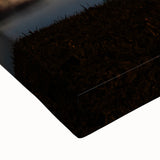 Large art of a Louisiana landscape in black and white on stretched canvas, suitable for bedroom decor.