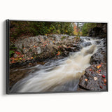 Black and white framed canvas depicting Acadia landscape, ideal for bedroom wall art.