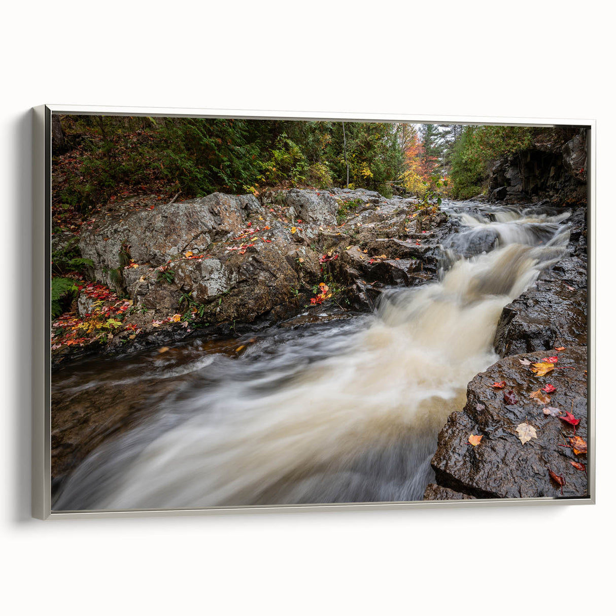 Framed canvas depicting Acadia's landscape in black and white, ideal for bedroom wall art.