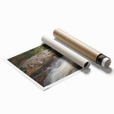 Extra large rolled print of Acadia, Maine, featuring serene floral art in soft colors, ideal for classy bathroom wall art.