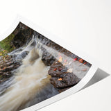 Extra large rolled print of line art flowers in muted earth tones, ideal for large living room wall art.