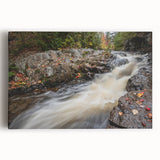 Black and white photograph of Acadia National Park on stretched canvas, ideal for kitchen art.