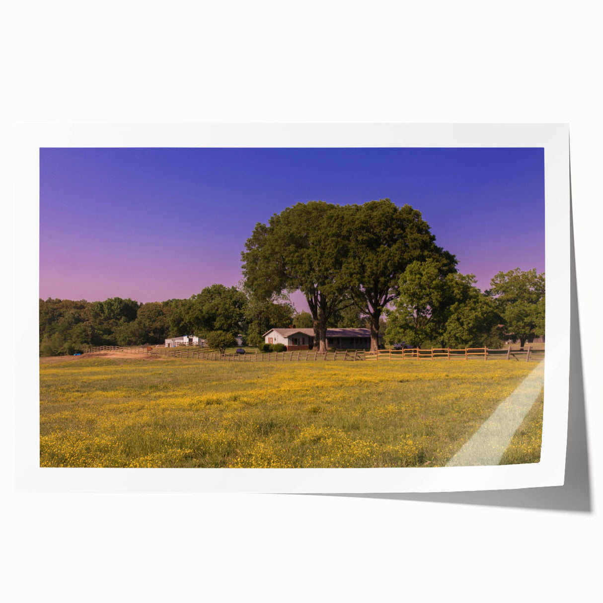 Extra large rolled print of a serene Mississippi landscape in muted green and blue tones, ideal for dining room wall art.