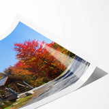 Extra large wall art featuring line art flowers in black on white, rolled print, suitable for large living room decor.