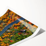 Extra large wall art featuring line art flowers in soft gray tones on a rolled print, suitable for large living room decor.