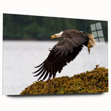 Acrylic print of Charlotte skyline in muted blue tones, ideal for bedroom or dining room art.