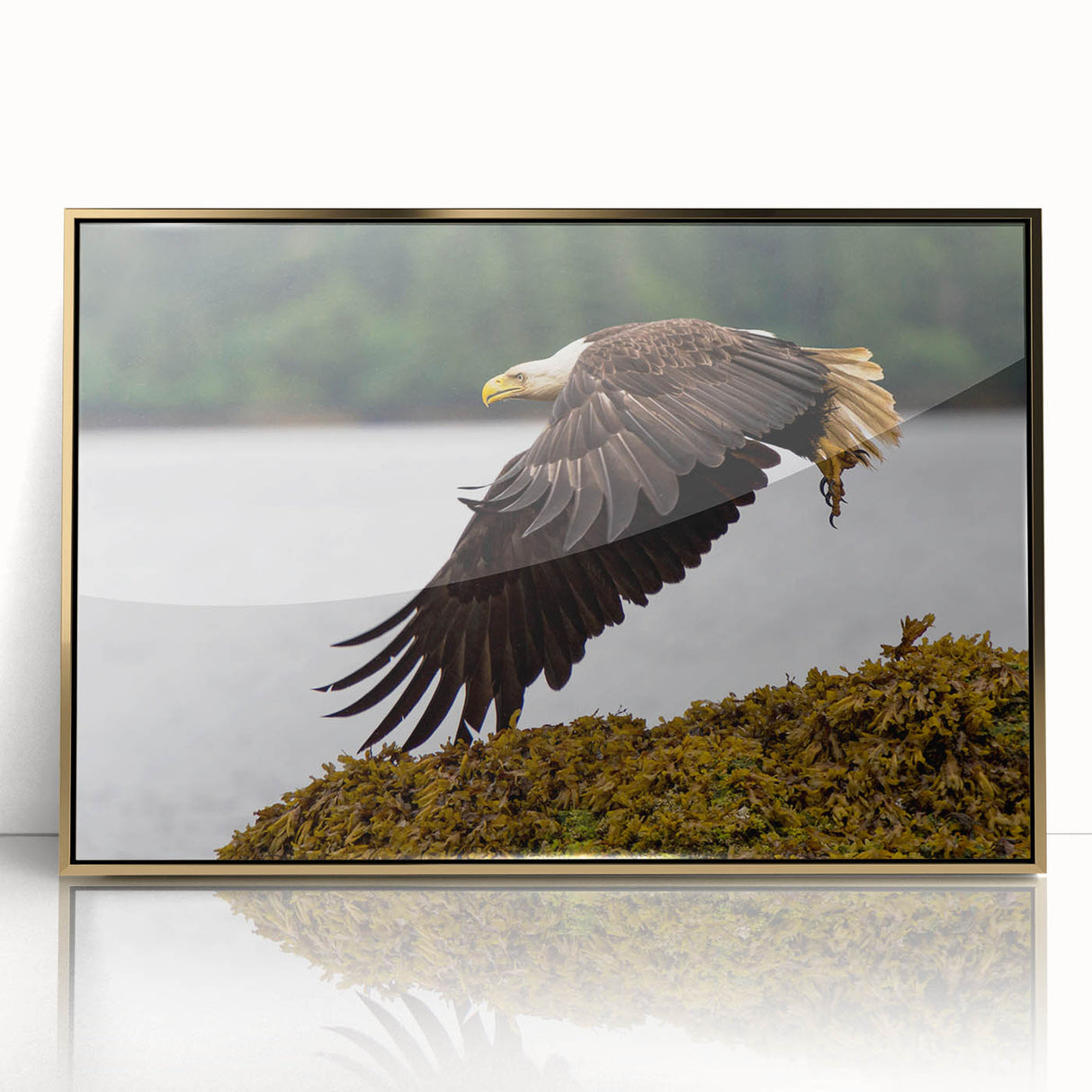 Framed acrylic print of Charlotte, North Carolina skyline in muted gold tones, ideal for modern art wall decor.
