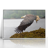 Acrylic print of Charlotte, North Carolina skyline in muted colors, framed in white, suitable for modern art wall decor.