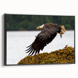 Black and white wall art of Charlotte skyline on framed canvas, suited for bedroom ambiance with vintage poster style.