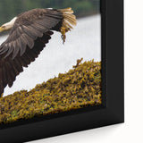 Framed canvas of Charlotte, North Carolina skyline in black with colorful textured strokes, ideal for living room decor.