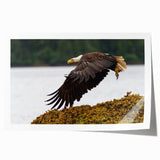 Rolled print of Charlotte, North Carolina skyline in pastel shades, ideal for art wall dining room.