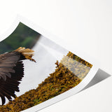 Extra large wall art featuring line art flowers in monochrome, printed on rolled canvas, ideal for large living room decor.