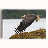 Black and white stretched canvas of the Charlotte skyline, ideal for kitchen wall art.