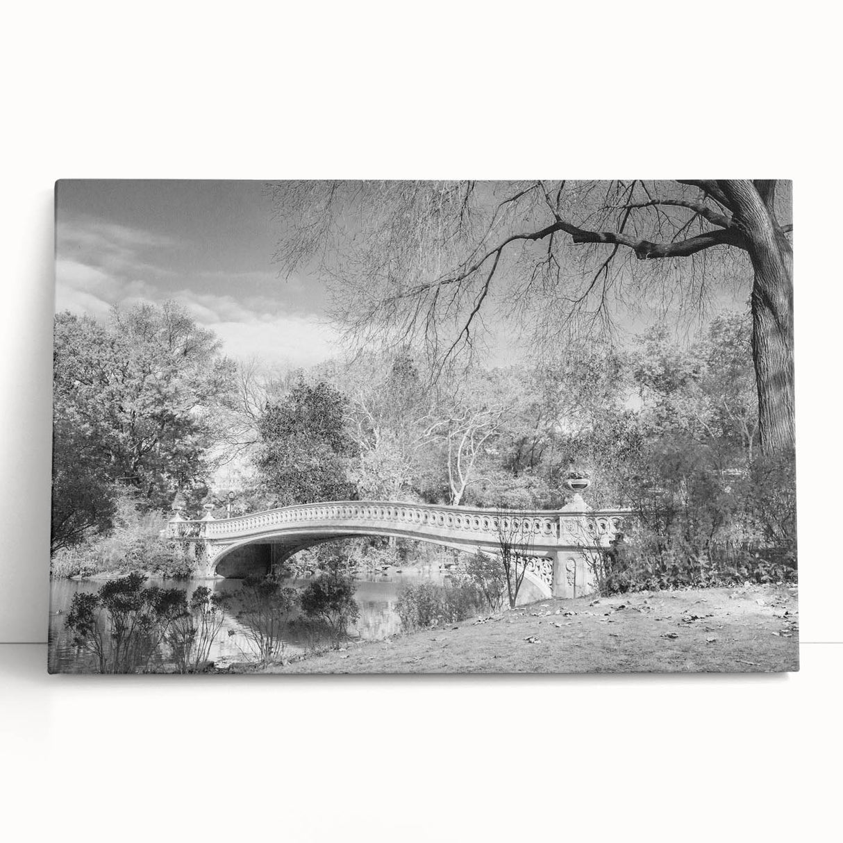 Black and white large art canvas of Central Park, ideal for kitchen wall art or bedroom ambiance.