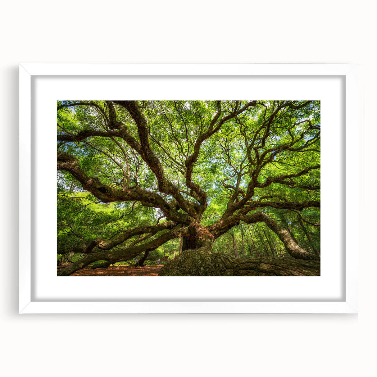 Abstract art print of Charleston landscape in muted earth tones on a framed canvas, suitable for dining room decor.