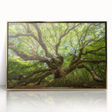 Acrylic print of Charleston, South Carolina scenery in gold frame, featuring mid-century modernist style.