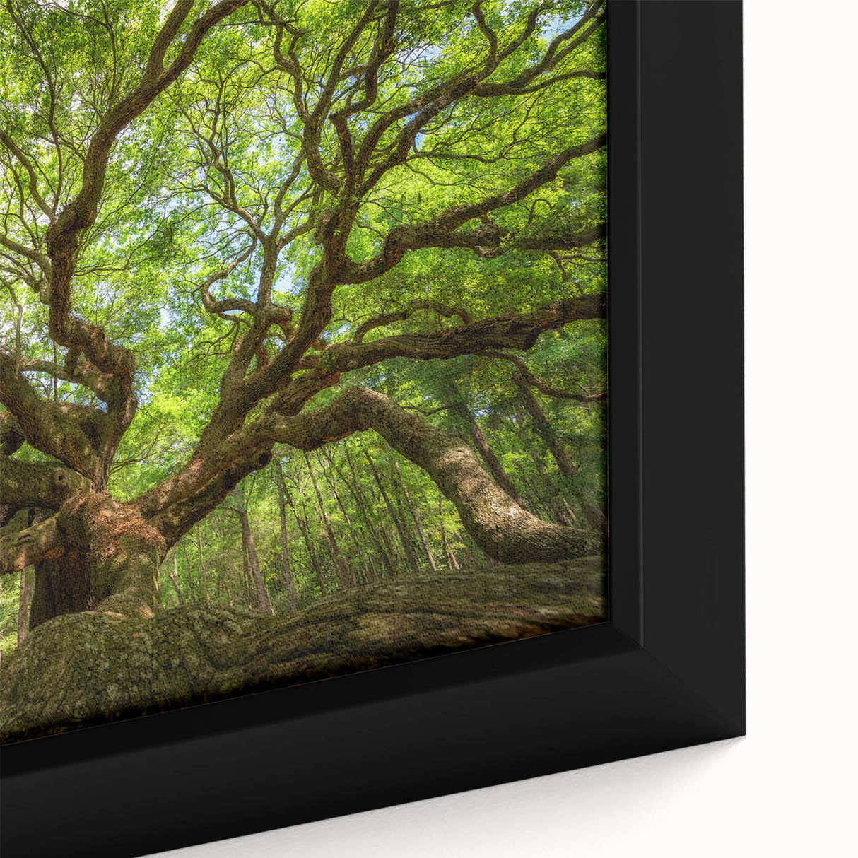 Textured black wall art of Charleston, South Carolina, with colorful accents on a framed canvas, ideal for living room decor.