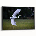 Framed canvas of a black and white South Carolina landscape, ideal for bedroom wall decor.