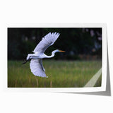 Rolled print of South Carolina scenery featuring soft pastel shades on a floral theme.