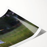 Extra large wall art featuring line art flowers in monochrome, printed on rolled canvas.