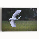 Black and white photo of South Carolina scenery on large stretched canvas, suitable for kitchen wall art.