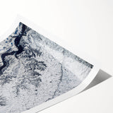 Extra large wall art featuring line art flowers in muted colors on a rolled print, suitable for large living room decor.