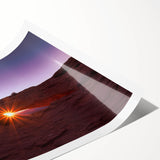 Extra large wall art featuring a line art design of flowers in muted earth tones on a rolled canvas.