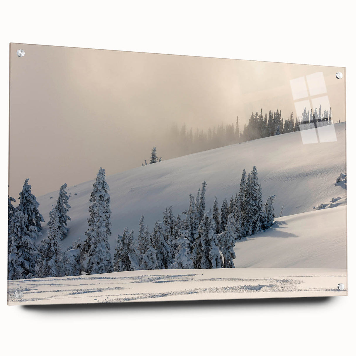 Acrylic print of Olympic National Park with lush green forest and mountains, suitable for bedroom or dining room decor.