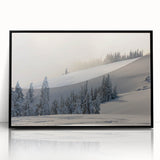 Large abstract wall art depicting the Olympic landscape in muted earth tones, framed in black acrylic.