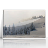 Art deco poster of Olympic National Park with muted green and blue tones on a framed acrylic.