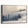 Black and white landscape art painting of Olympic National Park on framed canvas, suitable for bedroom decor.