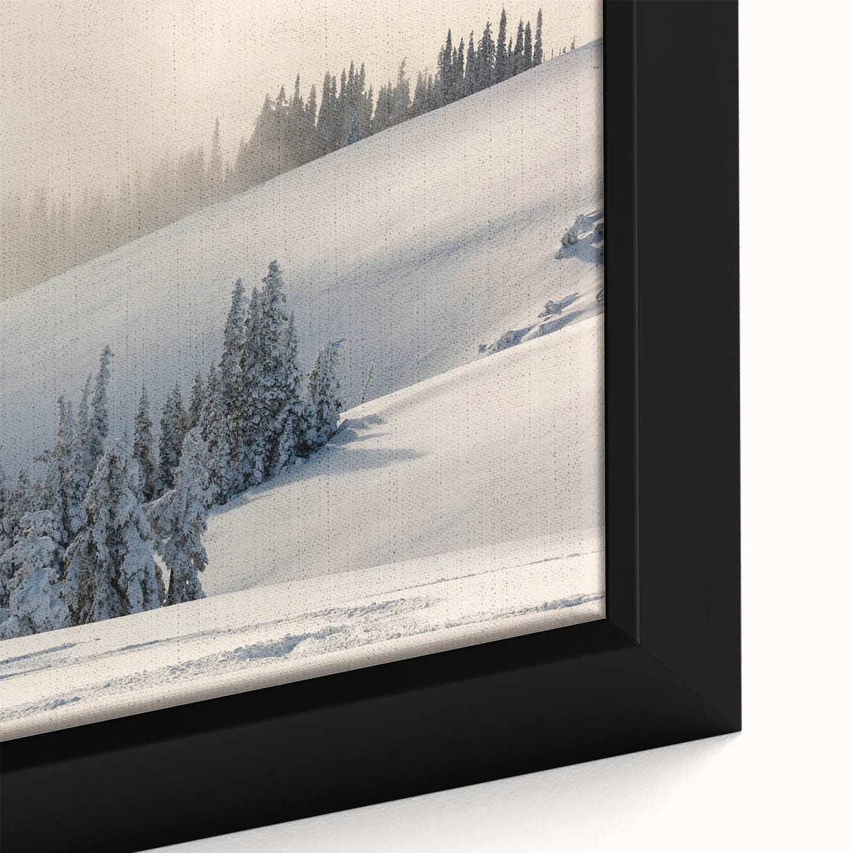 Black wall art featuring a textured depiction of Olympic National Park with vibrant, colorful accents on a framed canvas.