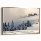 Framed canvas of Olympic National Park with muted green and earth tones, in a vintage style, suitable for bedroom wall decor.